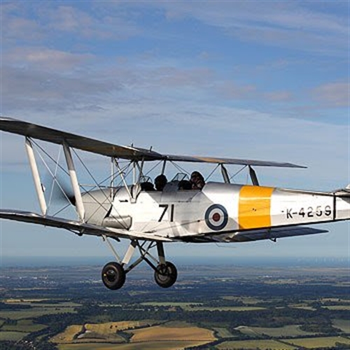 tiger moth pilot